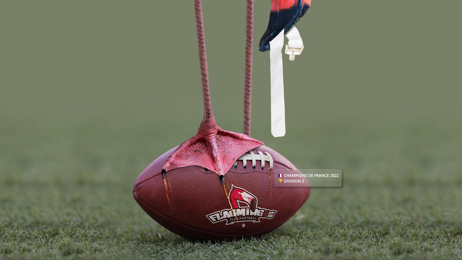 Flagmingball